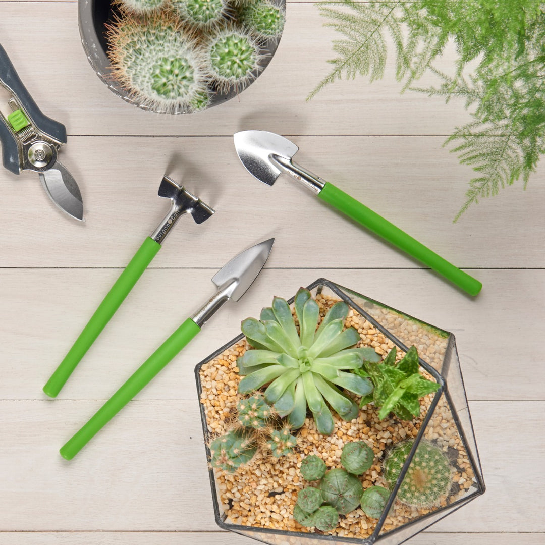 Burgon & Ball Houseplant & Terrarium Tool Set