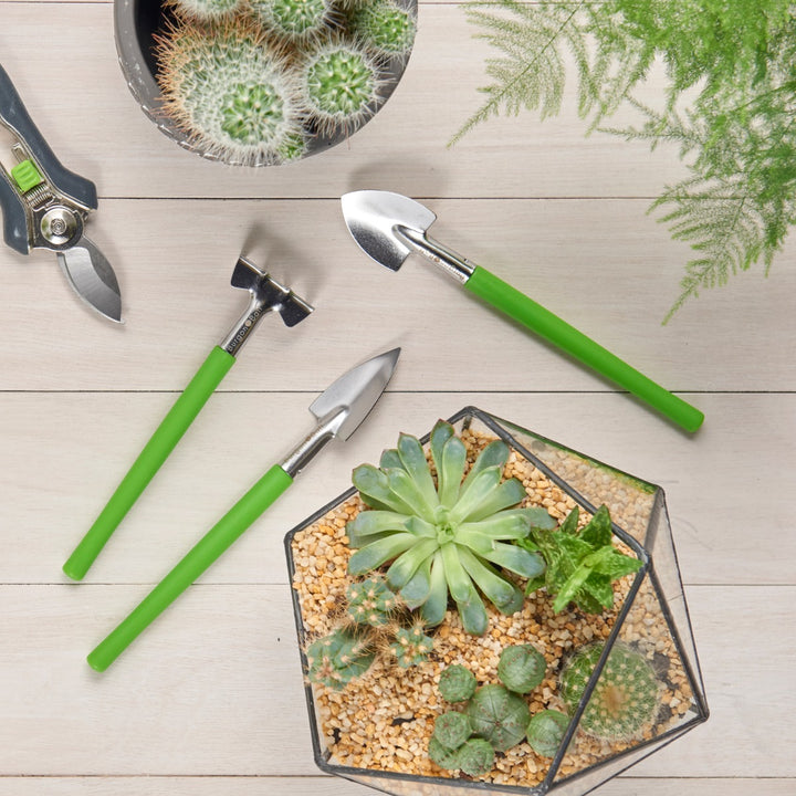 Burgon & Ball Houseplant & Terrarium Tool Set