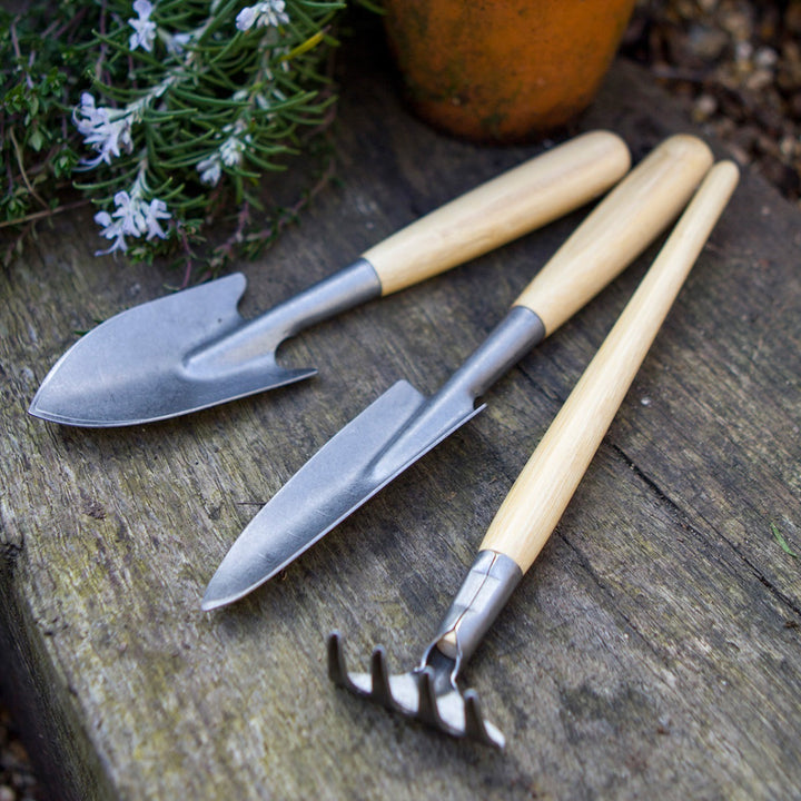 Darlac Bamboo Mini Essentials Tools Set