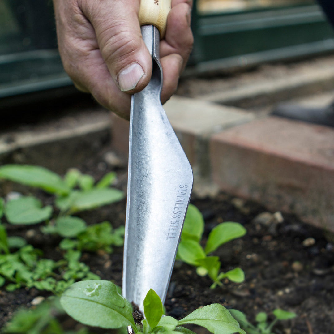 Darlac Bamboo Weeding & Seeding Trowel