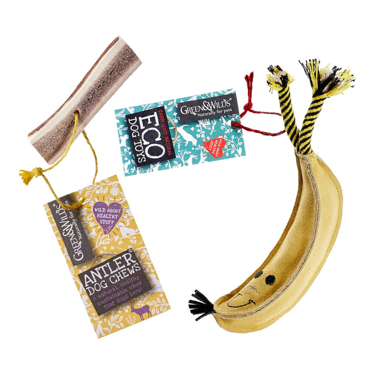 Green & Wilds Dog Gift Set - Barry Banana & Treat Bag / Chew Option