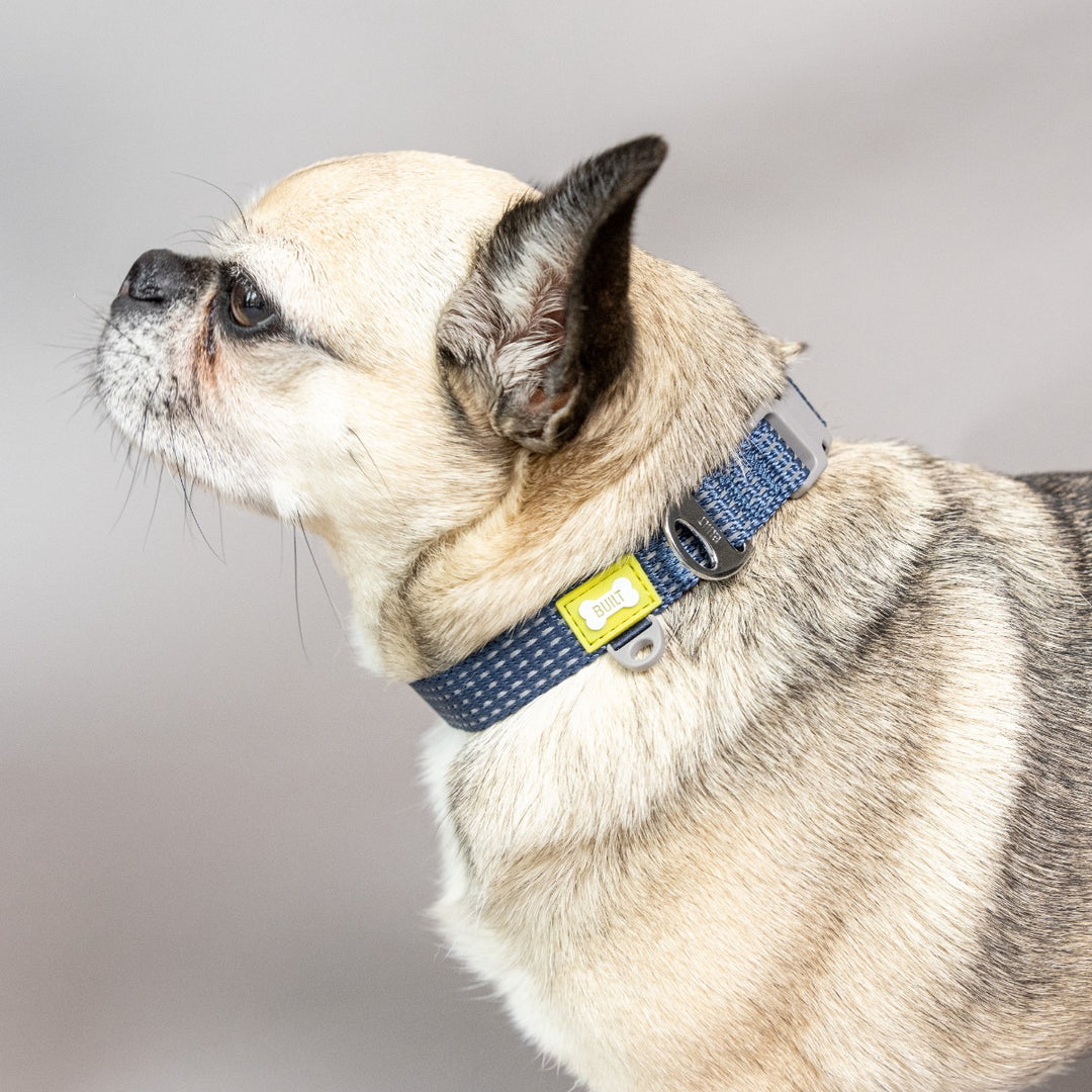 BUILT Pet NightSafe Blue Reflective Collar - 3 Sizes