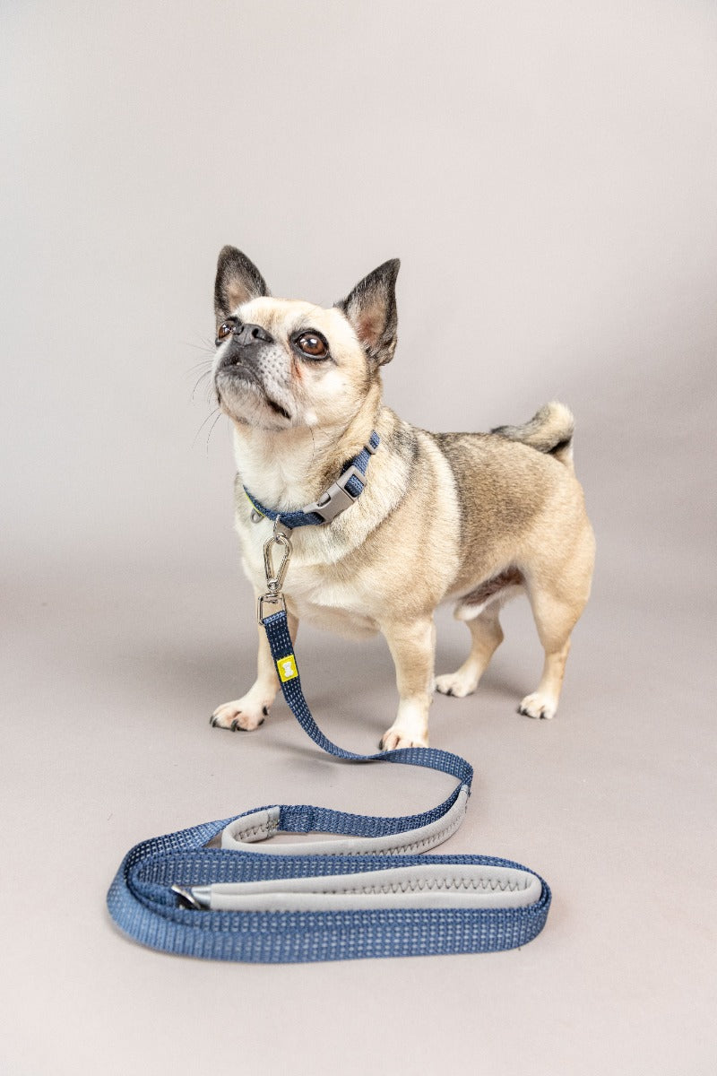 BUILT Pet NightSafe Blue Reflective Lead - 3 Sizes