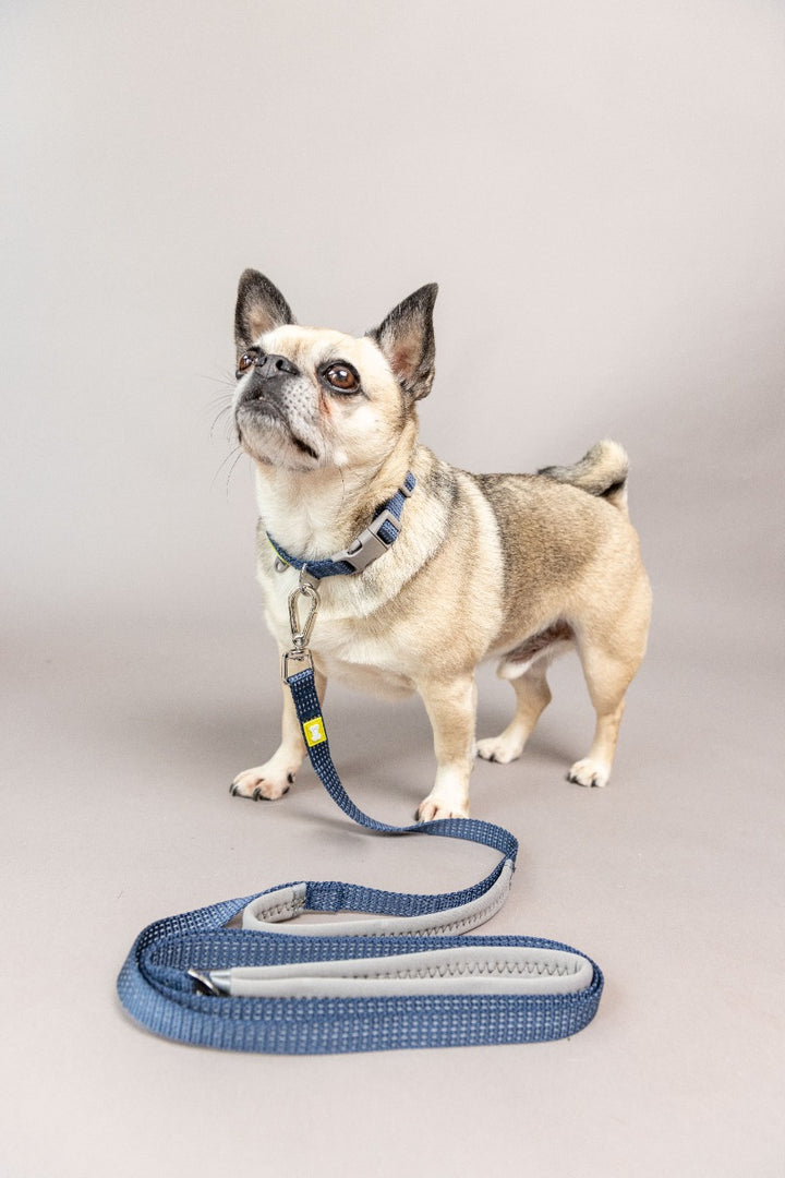 BUILT Pet NightSafe Blue Reflective Lead - 3 Sizes