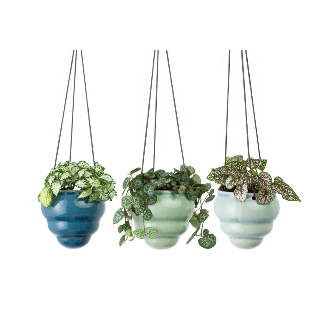 beehive shaped green & blue pots for succulents