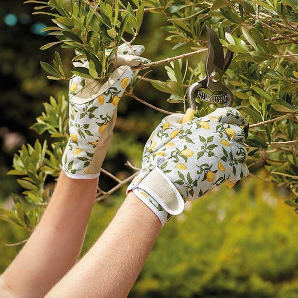  featuring a sicilian lemon print.