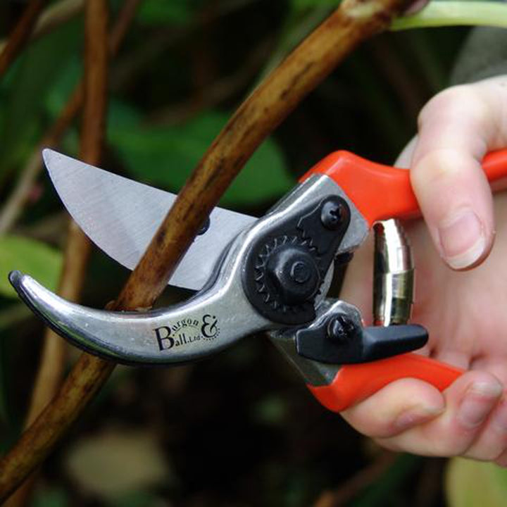 Burgon & Ball RHS Bypass Secateurs