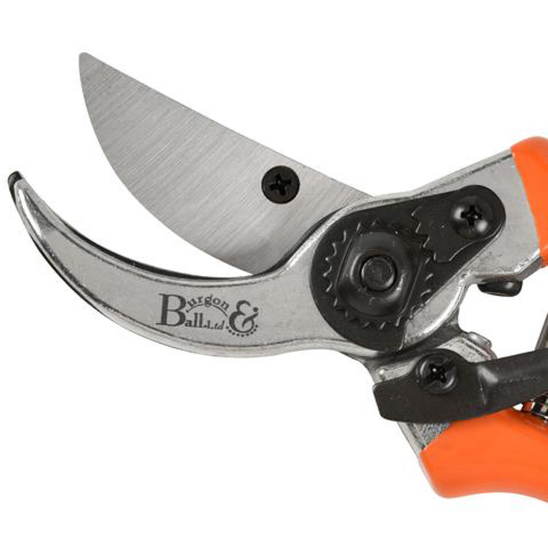Burgon & Ball RHS Bypass Secateurs