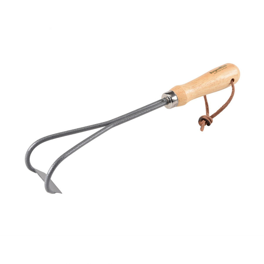 RHS endorsed container weeder with hard wood handle