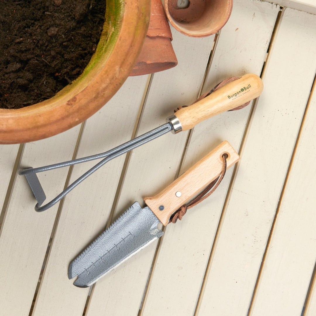 Burgon & Ball RHS Container Weeder