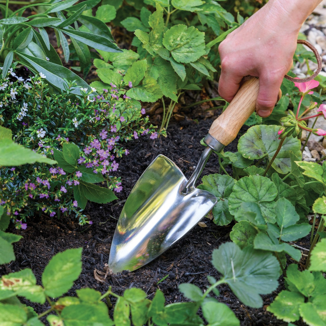 Burgon & Ball RHS Groundbreaker Trowel