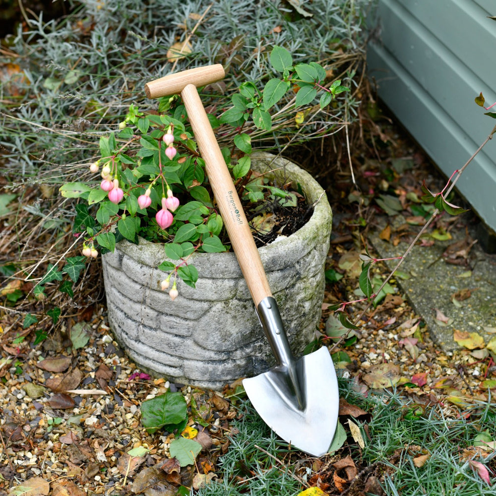 perennial spade leaning against plant pot