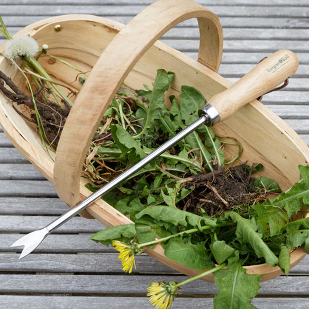gardening tool on wooden basket filled with weeds