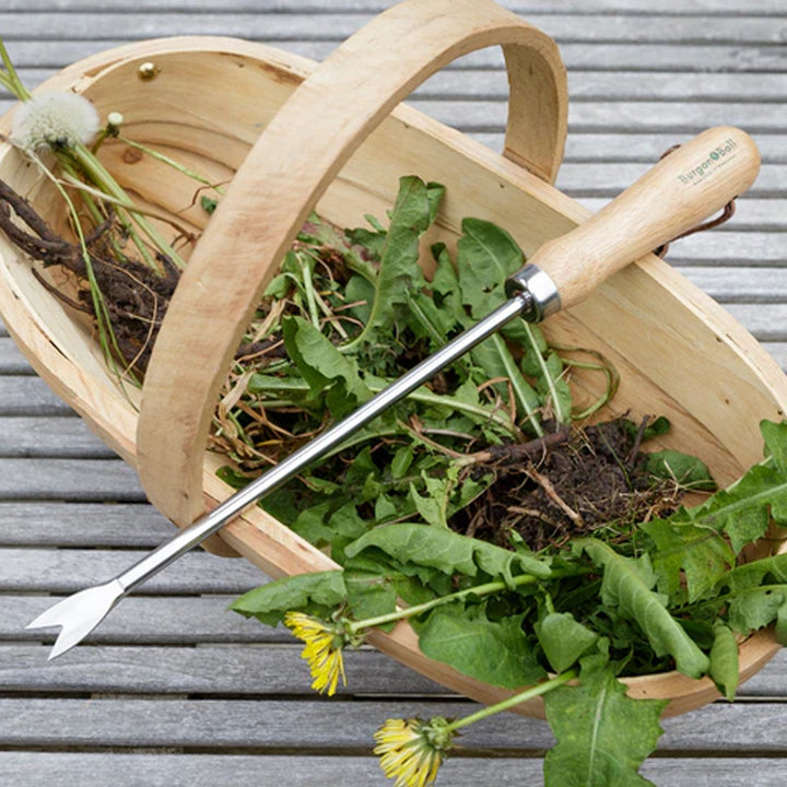 gardening tool on wooden basket filled with weeds