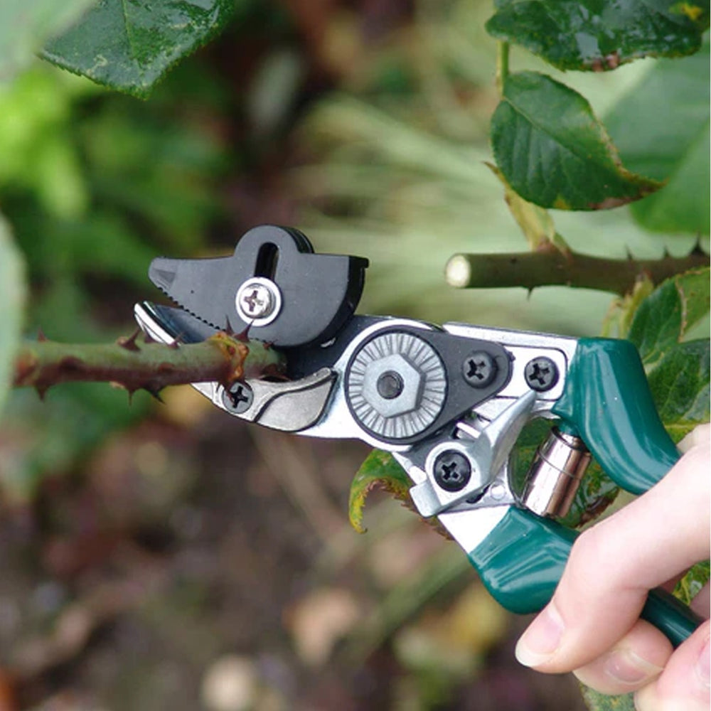 rose pruner cutting through flower stem