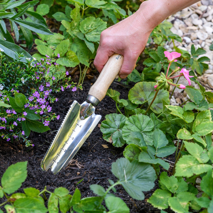 Burgon & Ball RHS Weeding Trowel