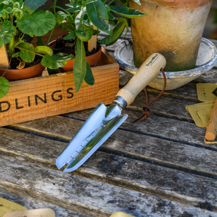 Burgon & Ball RHS Weeding Trowel