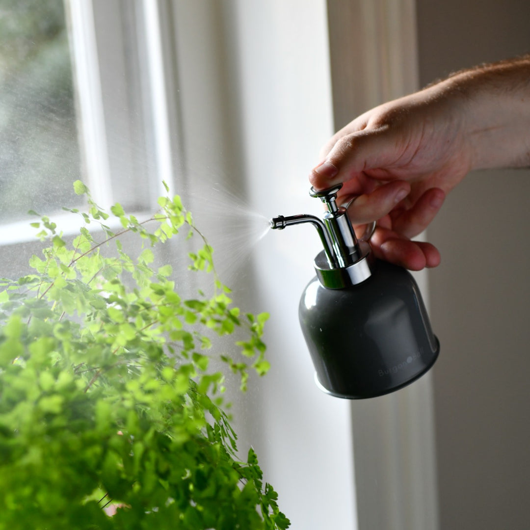 Burgon & Ball Indoor Plant Mister - Charcoal