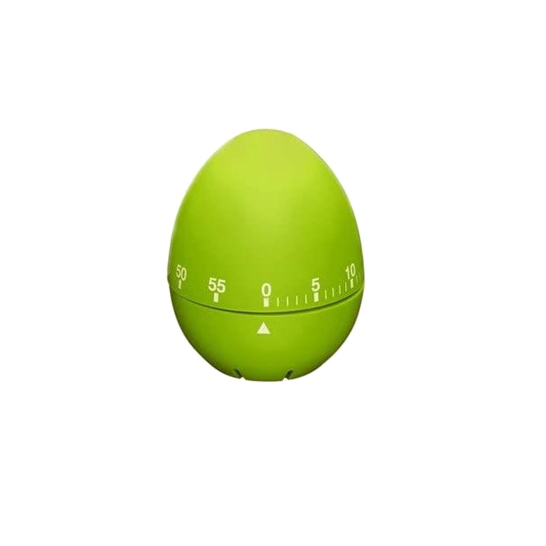 Colourworks Egg Timer - Green