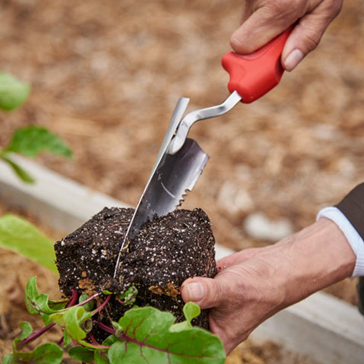 Corona Tools ComfortGel® Transplanter Tool