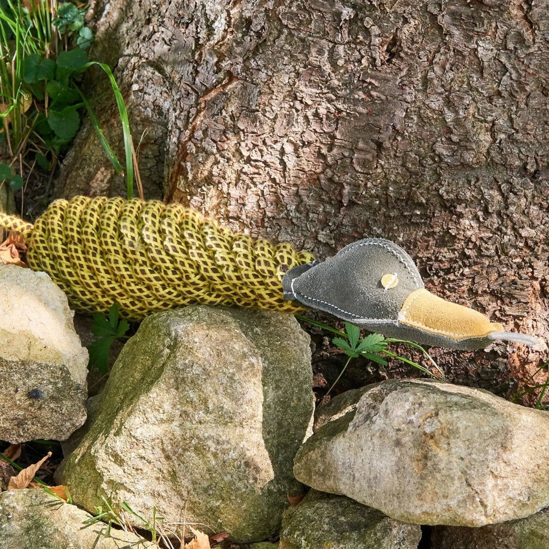 Green & Wilds Eco Dog Toy - Delilah the Duckess