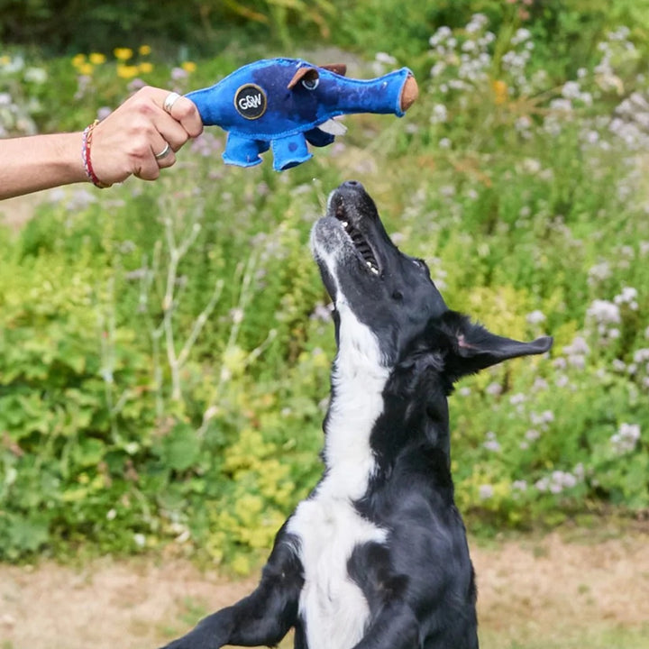 Green & Wilds Eco Dog Toy - Dino the Dyno Fish