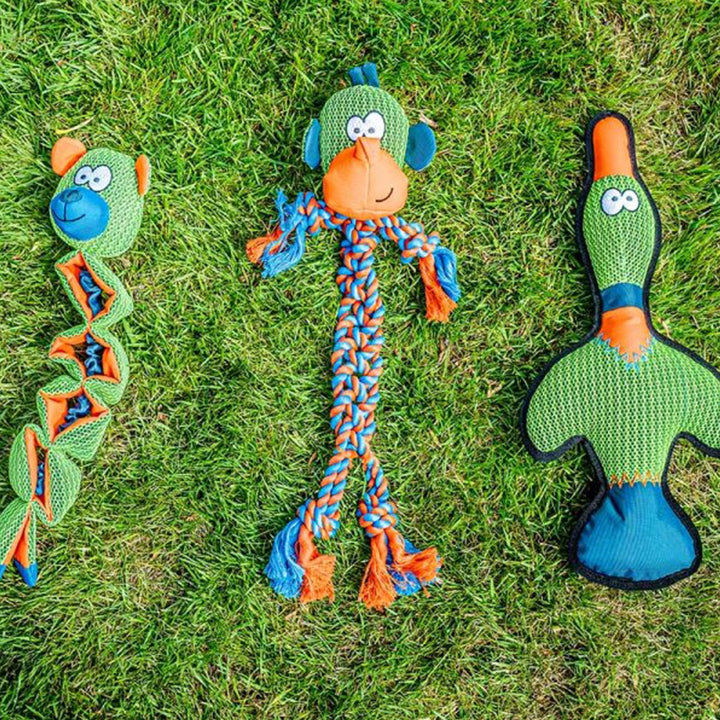 Smart Garden Dog Toy - Bright Bear