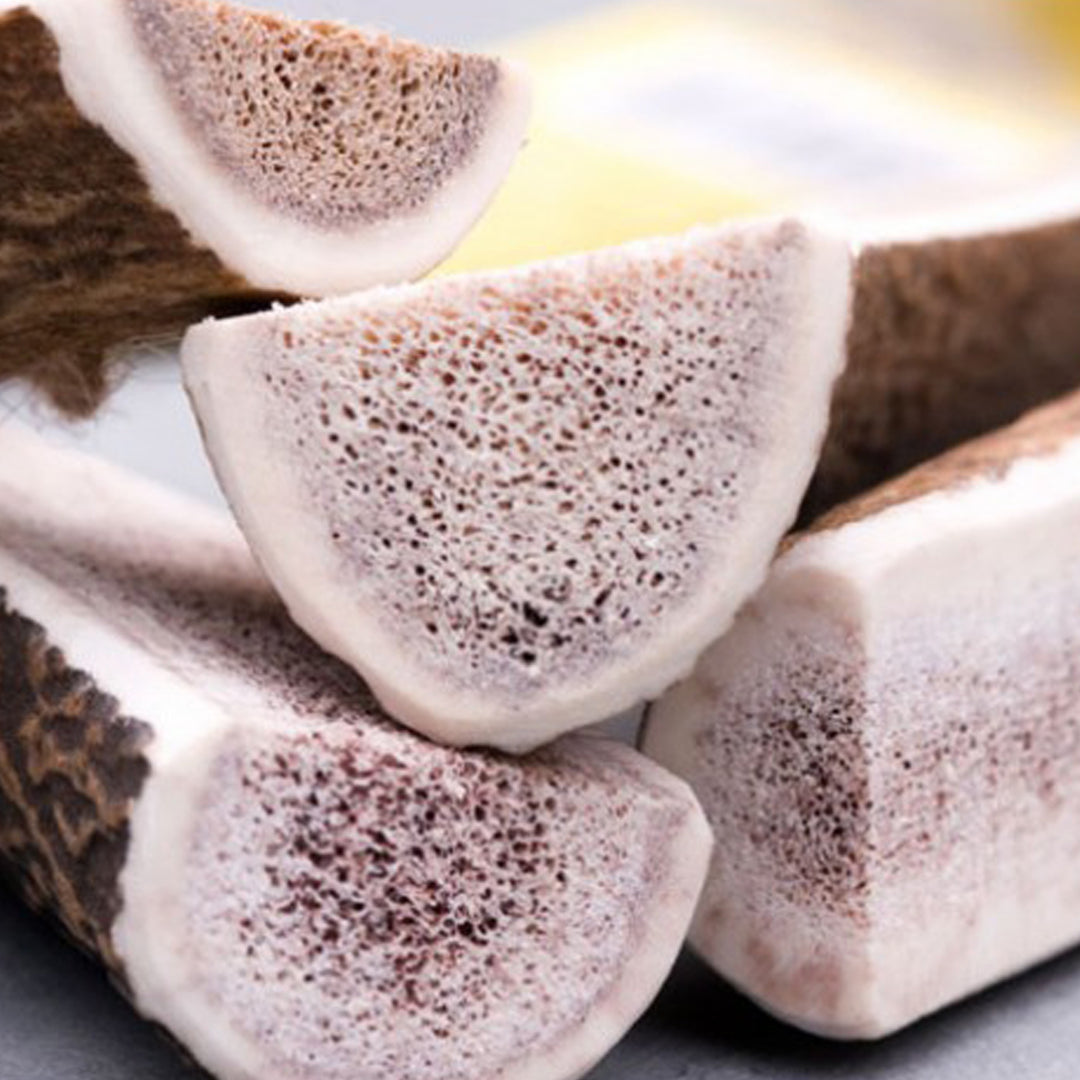 Green & Wilds Easy Antler Dog Chew - Various Sizes