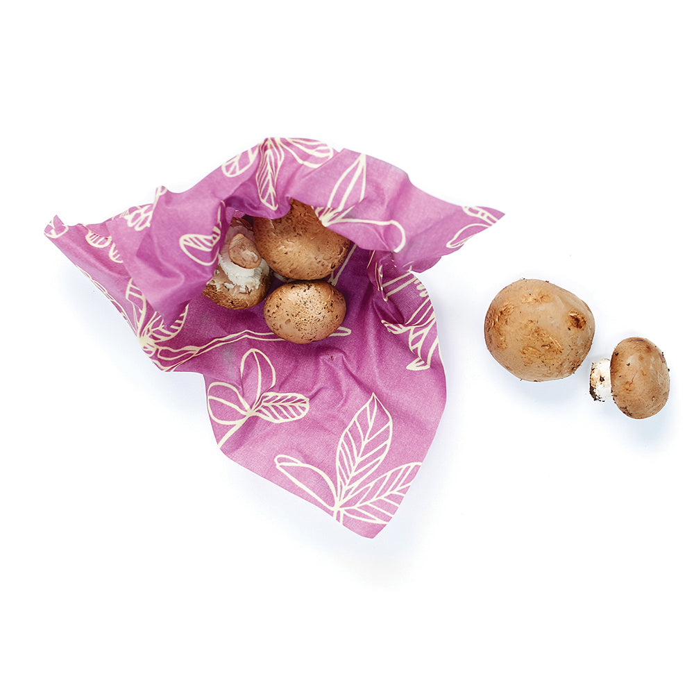 eco friendly food storage