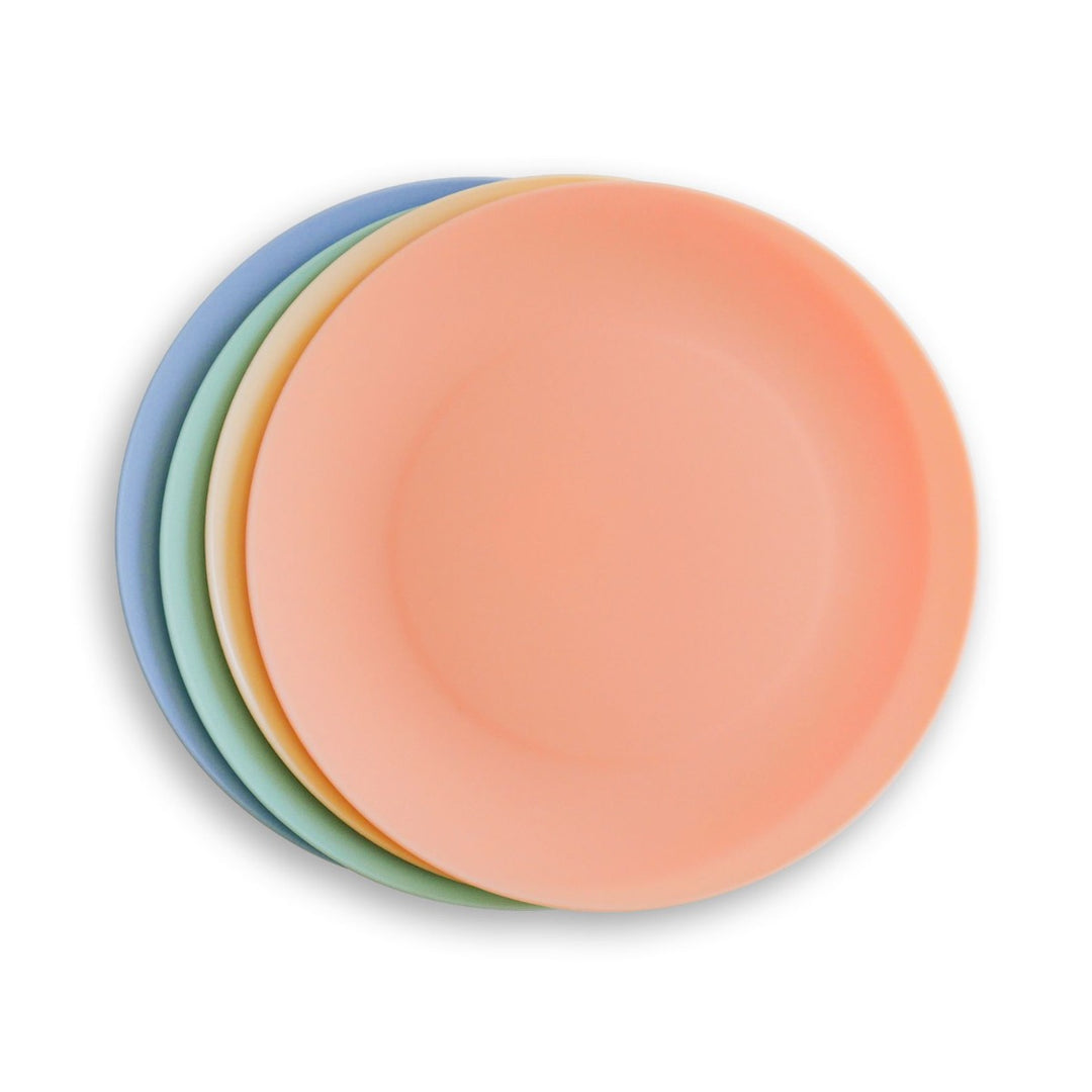 Multicolour Plastic Dinner Plates Set
