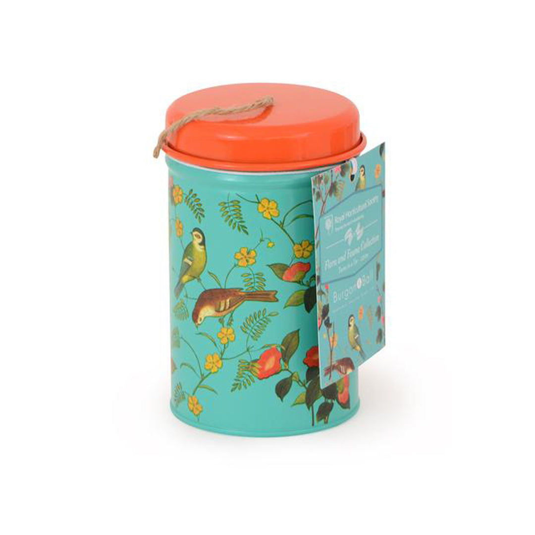 Burgon & Ball Flora & Fauna Twine in a Tin