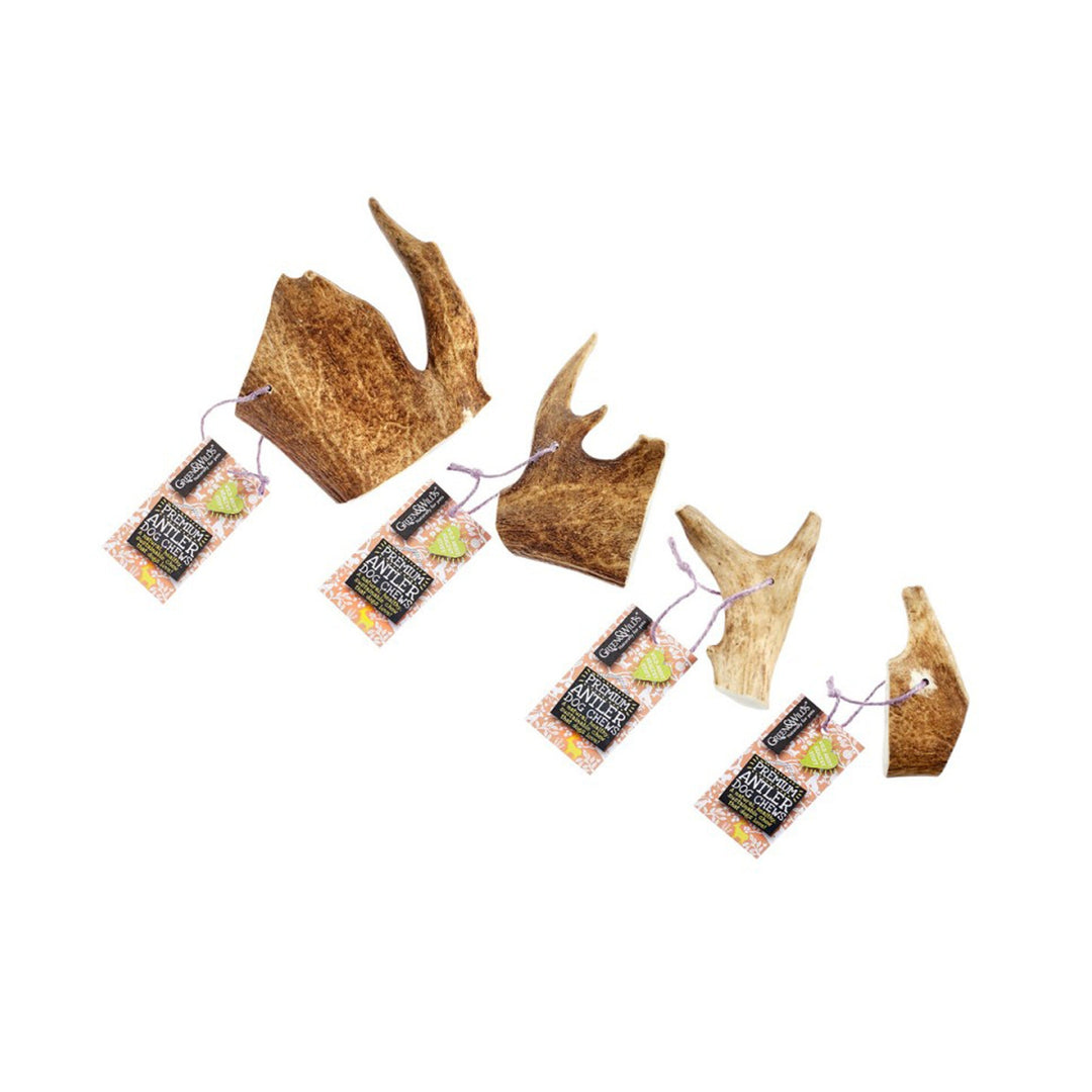 Green & Wilds Fallow Antler Dog Chew - Various Sizes