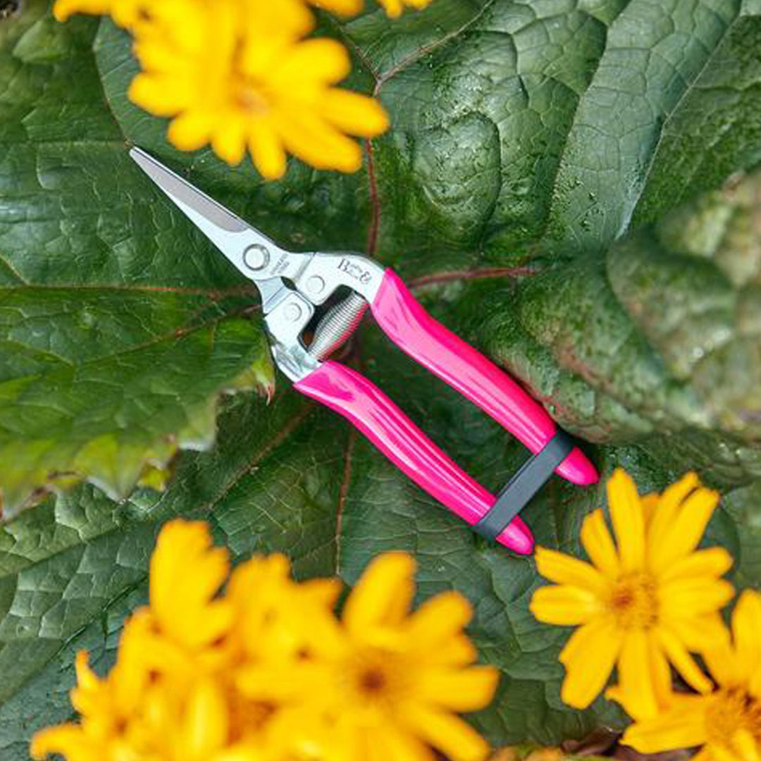 Burgon & Ball FloraBrite Flower Snip - Pink