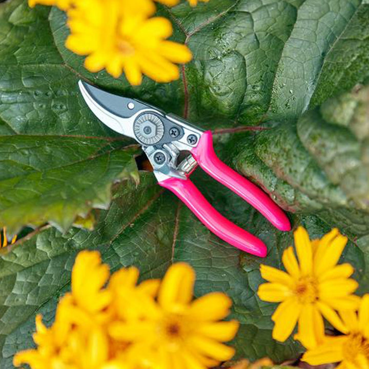 Burgon & Ball FloraBrite Pocket Pruner - Pink