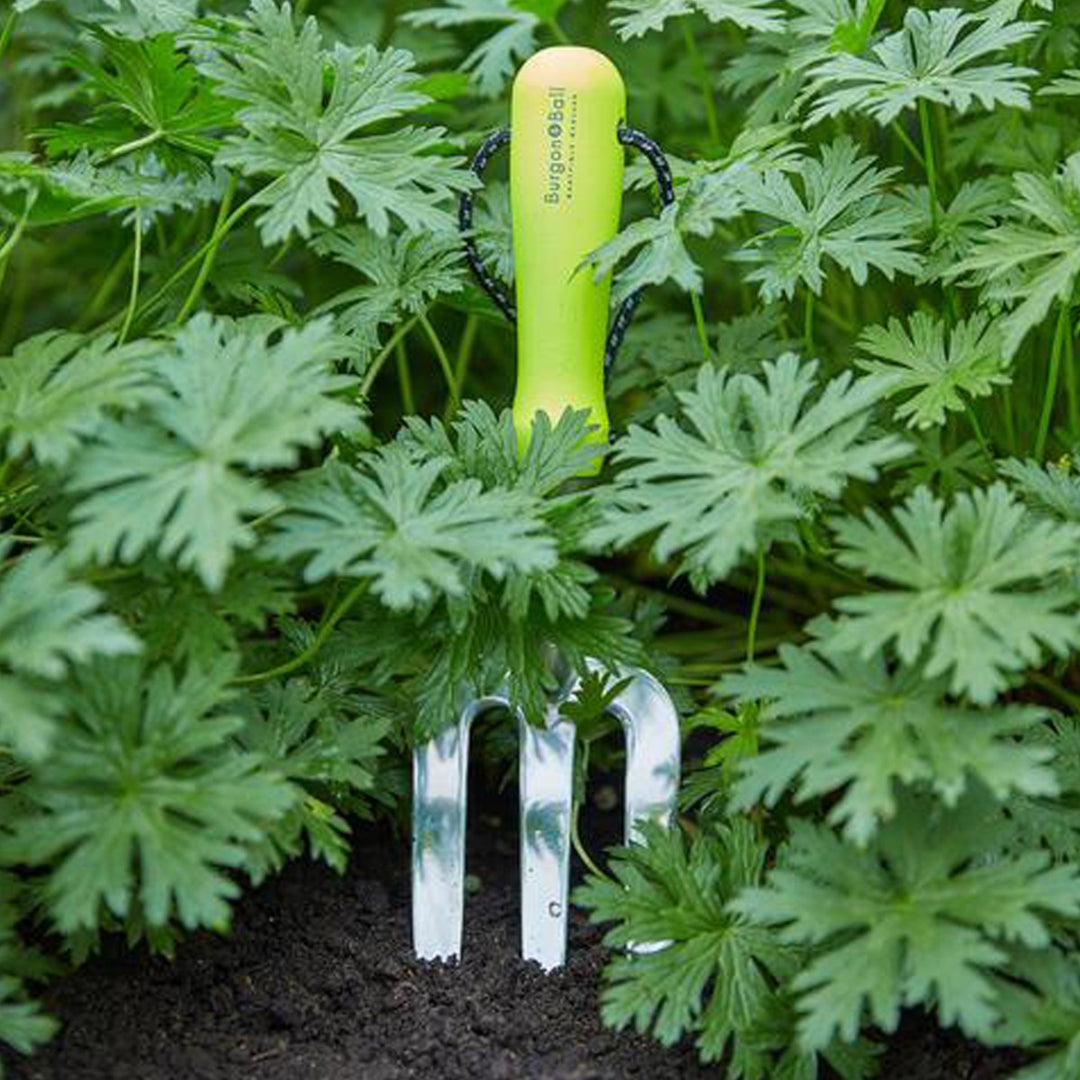 Burgon & Ball FloraBrite Hand Fork - Yellow