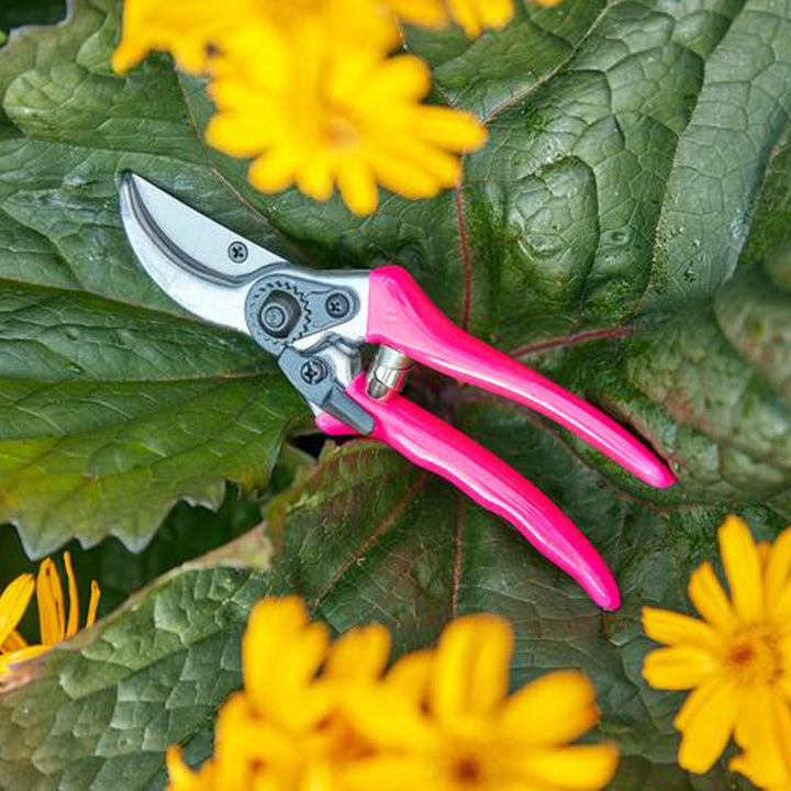 Burgon & Ball FloraBrite Bypass Secateurs - Pink
