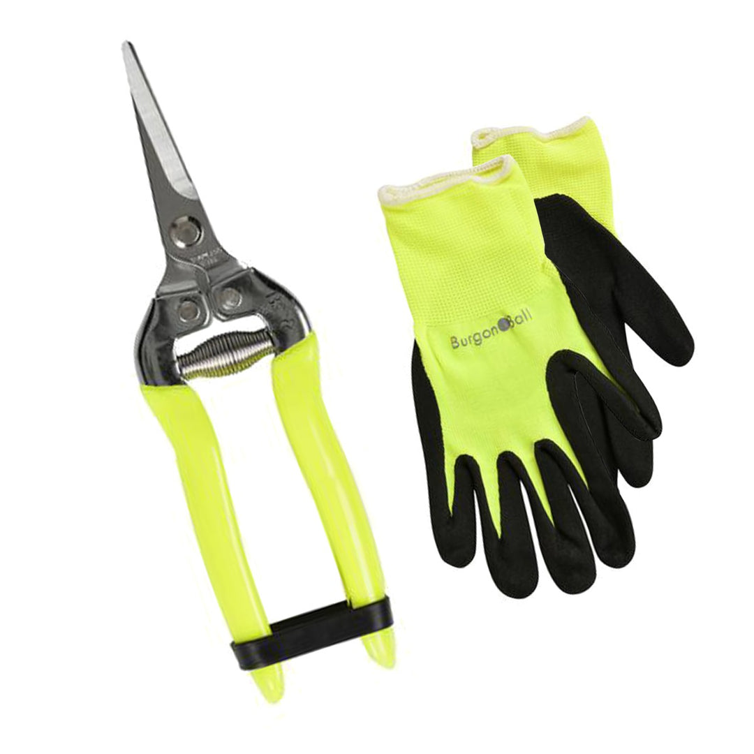 Burgon & Ball FloraBrite Gardening Gloves & Flower Snip Set - Yellow