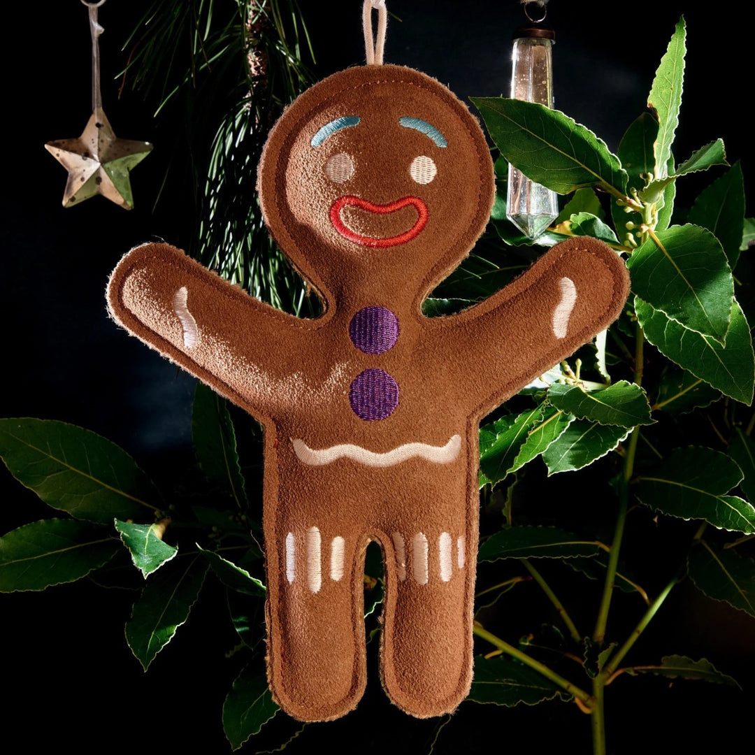 Green & Wilds Eco Dog Toy - Jean Genie the Gingerbread Person