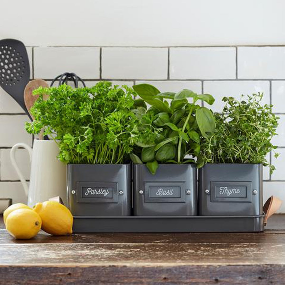 Burgon & Ball Herb Pots Tray - Charcoal
