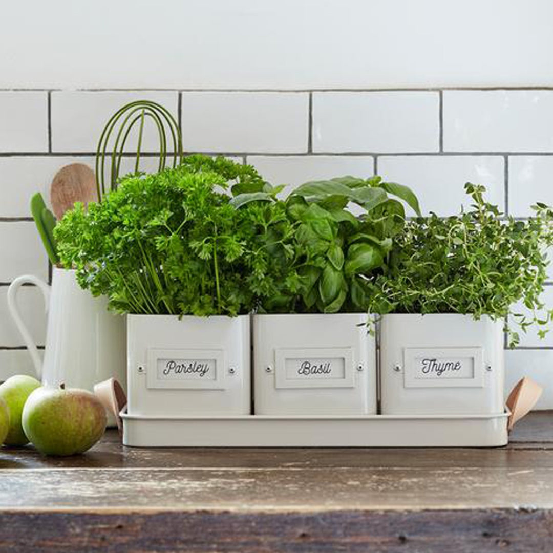 Burgon & Ball Herb Pots Tray - Stone