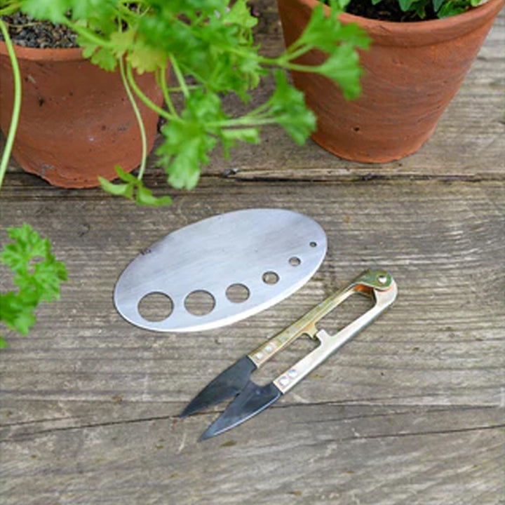 Burgon & Ball Herby Harvest Gardening Gift Set