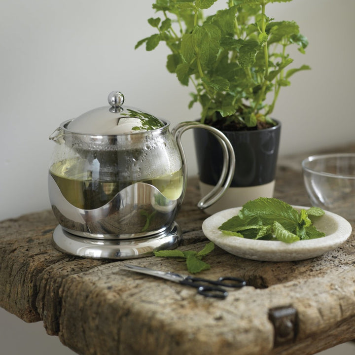 La Cafetiére Izmir Silver Glass Teapot - 2 Cup
