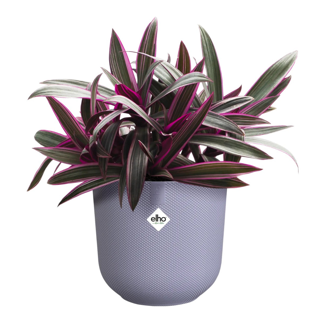 Elho Lavender Jazz Round Recycled Plastic Plant Pot - 19cm