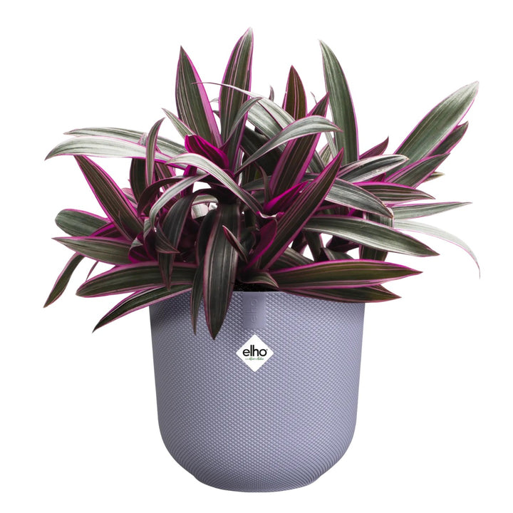 Elho Lavender Jazz Round Recycled Plastic Plant Pot - 19cm