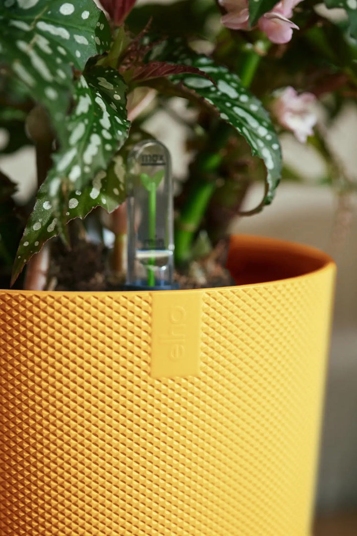Elho Amber Yellow Jazz Round Recycled Plastic Plant Pots - Mixed Set of 3 Sizes