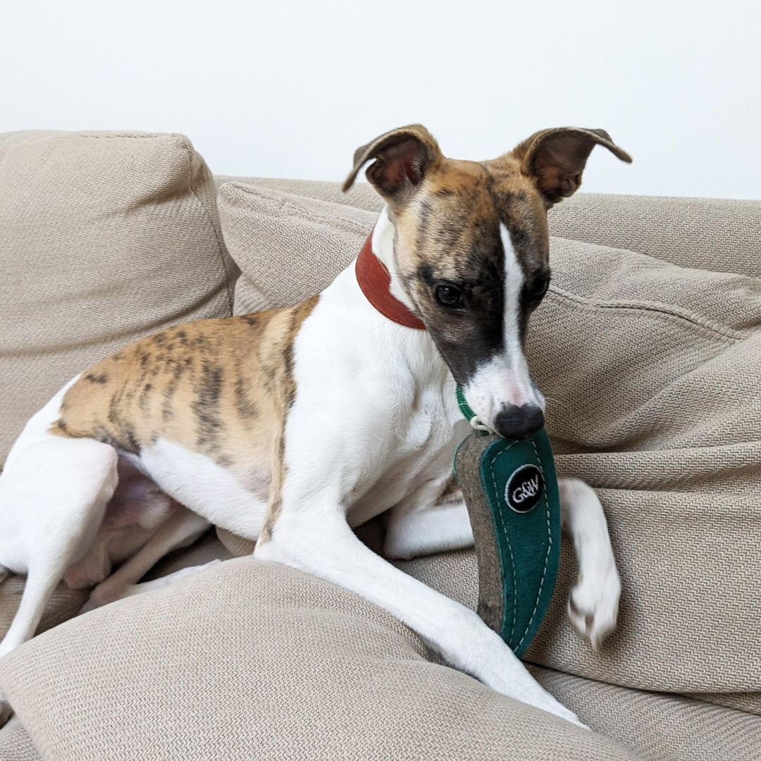 Green & Wilds Eco Dog Toy - Juan the Jalapeno