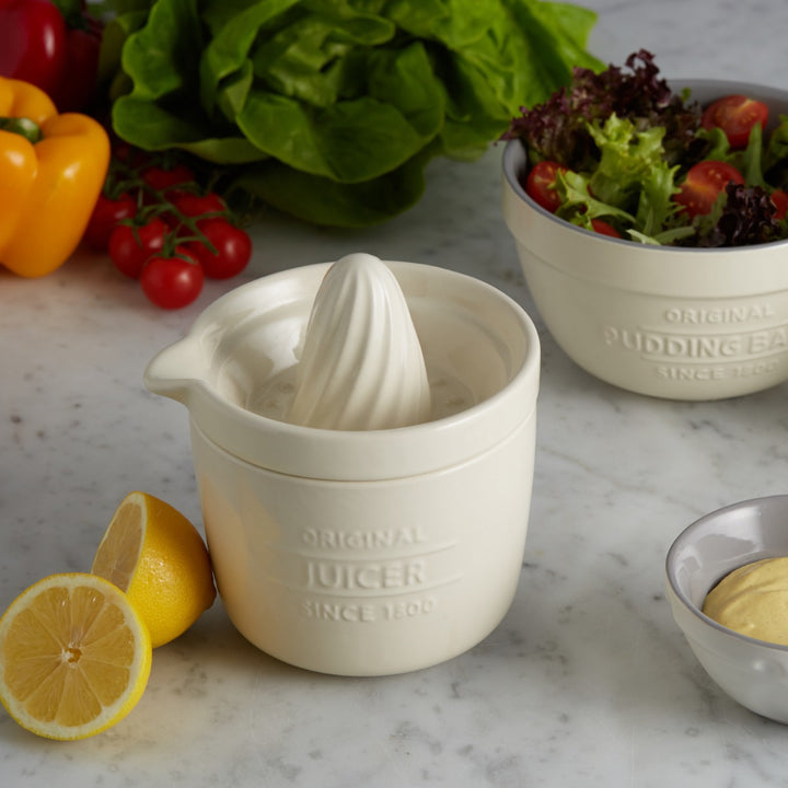 Citrus fruit juicer