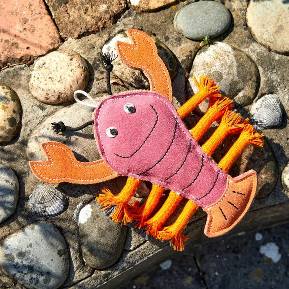  shaped like an orange and pink lobster