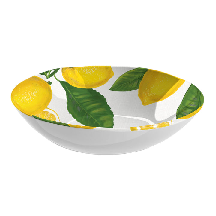 Lemon Fresh Melamine Salad & Nibbles Serving Set