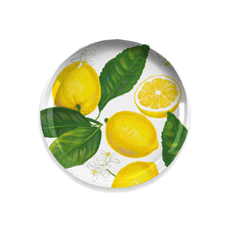 Lemon Fresh Melamine Dinnerware Set